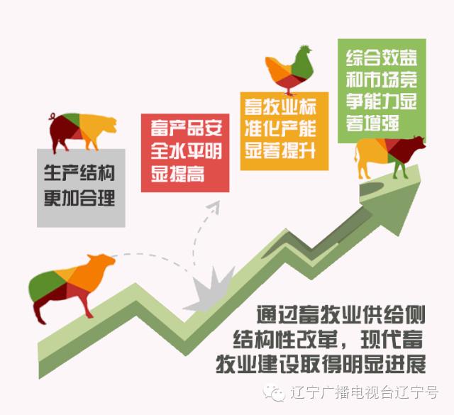 辽宁农林渔牧联动推进供给侧改革 各部门齐表态，产业升级显决心