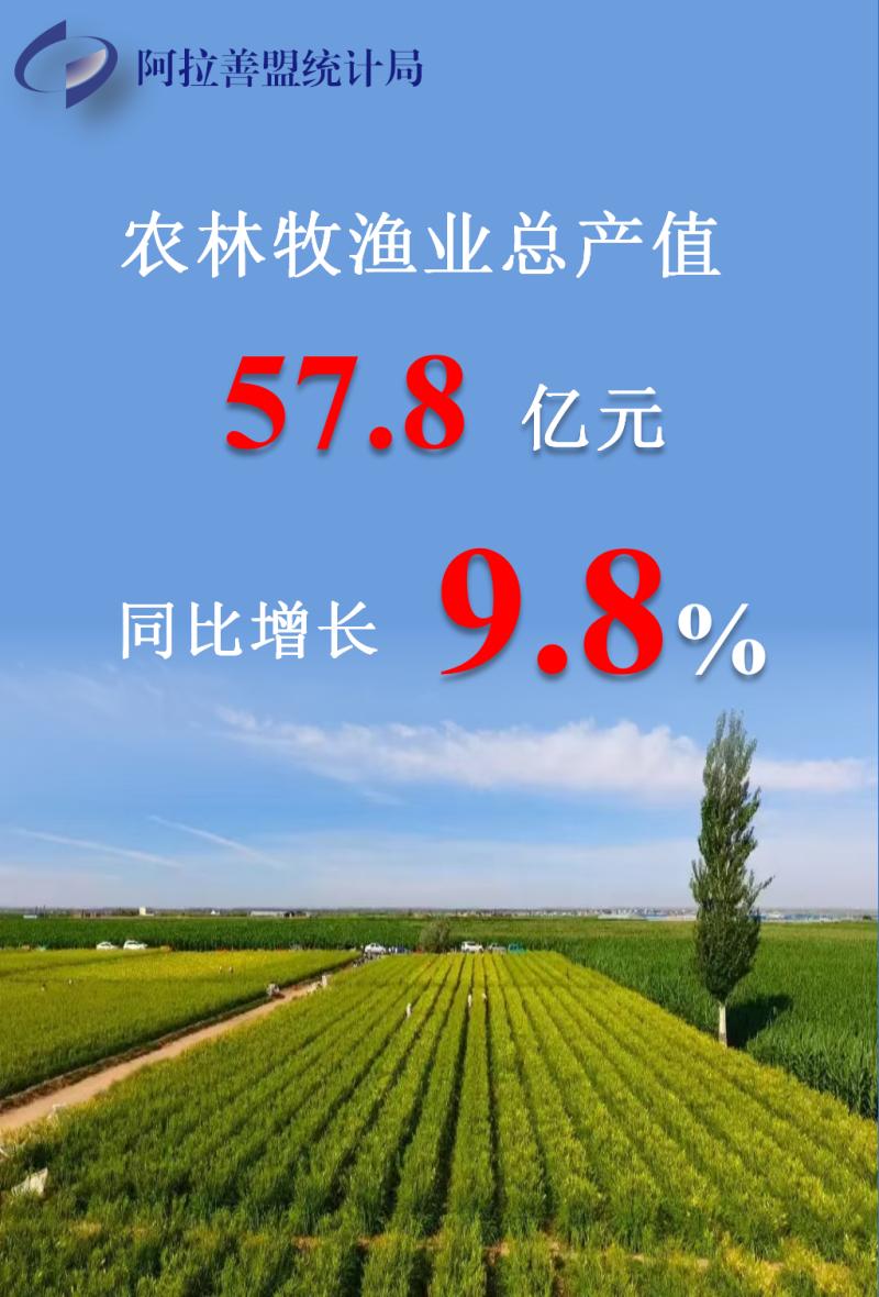跑出“加速度”!2024年阿拉善盟经济运行成绩单成色十足 农林牧业亮点纷呈